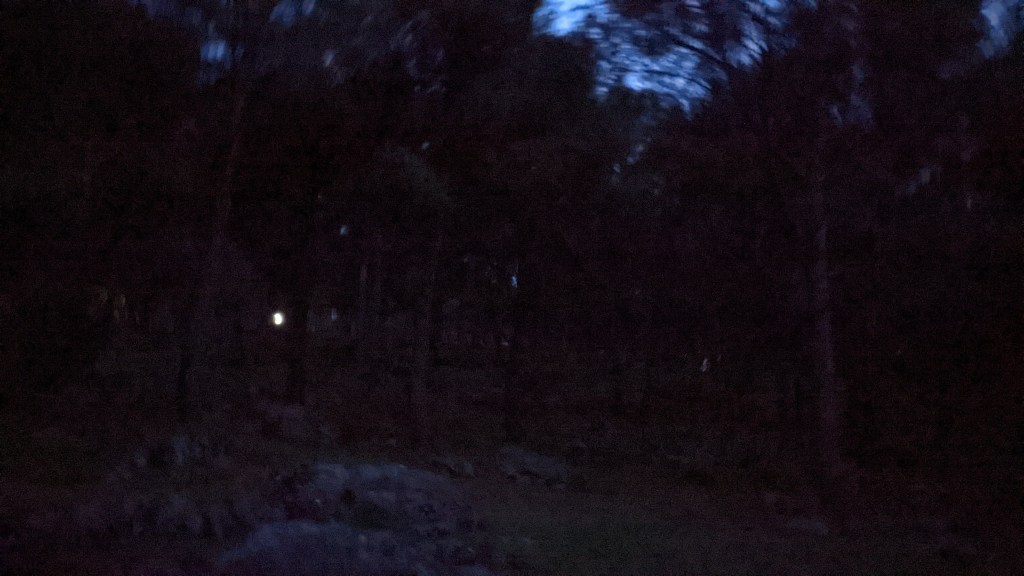 A forest at night is darkened even further by trees